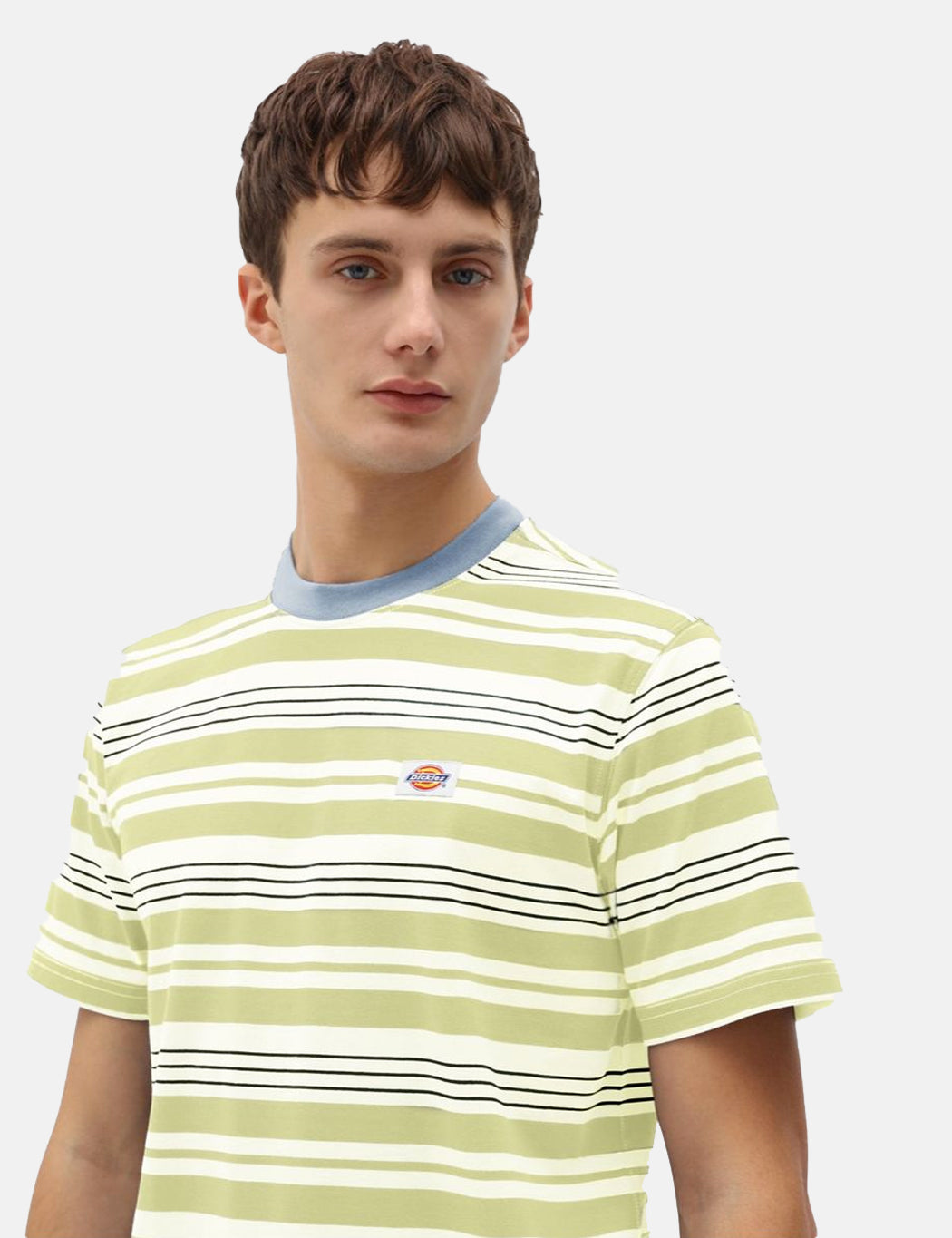 Wheaton T-Shirt (Striped) - Mellow Green