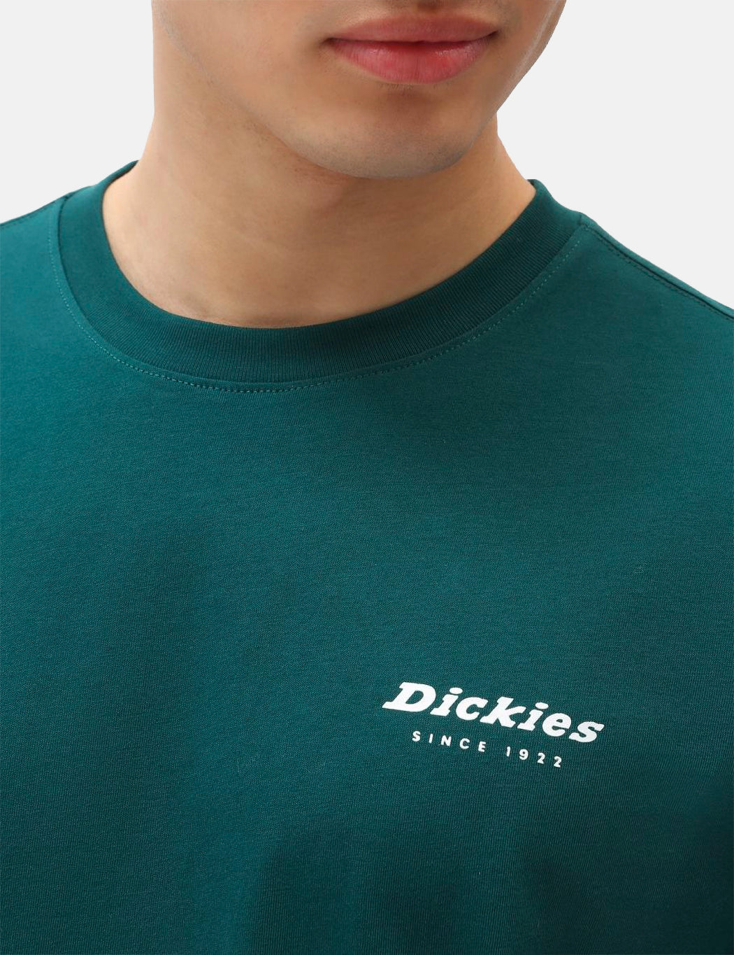 Reworked T-Shirt - Ponderosa Pine Green